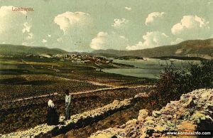 Vineyards of Lumbarda in 1917
