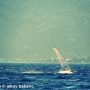 Introducing: Young Windsurfer from Korcula