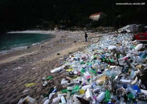 Plastic Bottles on Pupnatska Luka Beach