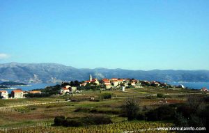 Wine Groves of Lumbarda @ Vela Glavica suburb