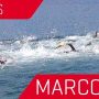 Korcula Triathlon - Marco Polo Challenge 30.04.2016